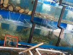 水产区-老东镇啤酒屋海鲜加工·蒸汽海鲜·海鲜烧烤(台东店)