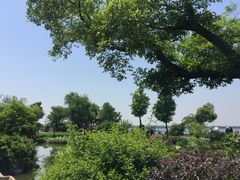 -鹅湖玫瑰文化园
