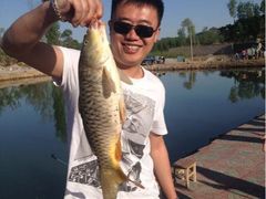 上鱼啦-古韵山庄