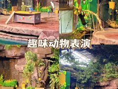 -长鹿旅游休博园