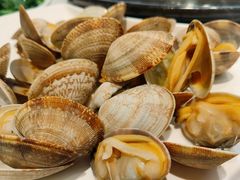 白蚬子-海味当家·蒸锅海鲜(中山广场创始店)