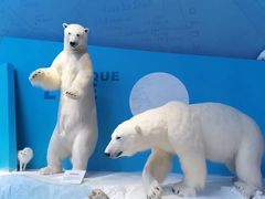 -贝林大翅鲸简餐厅(国家海洋博物馆店)