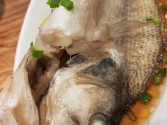 清蒸鲈鱼-乡村基·川味现炒大王(熙悦天街店)