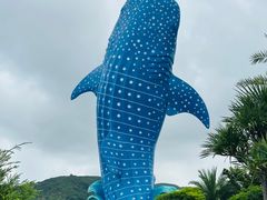 -珠海长隆海洋王国