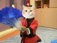 -金宝贝早教(和悦汇店)