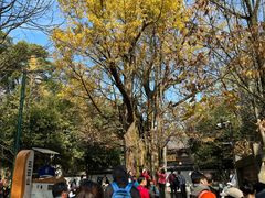 -西湖风景区十里琅珰-五云山