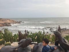 -广东惠东海龟国家级自然保护区