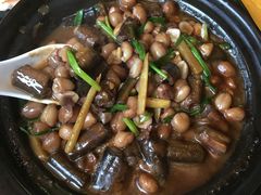 花生焖黄鳝-东方之猪四更烤乳猪(金垦总店)