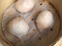 -喜粤8号(四海唐人街店)