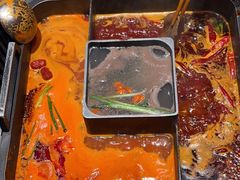 -洞子口重庆鲜货火锅(楚翘城旗舰店)