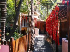 -正宗天津烧麦馆(柳州路店)