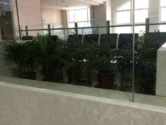 -上海市普陀区中心医院