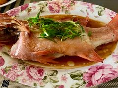 -布歌东京(金融街购物中心店)