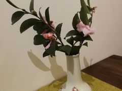 -梅间堂茶馆(绿地缤纷城店)
