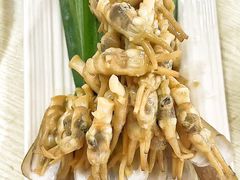 -天鹅到家·保姆月嫂育儿嫂(朝阳店)