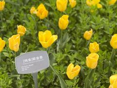 -国家植物园南园
