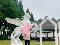 -太阳岛度假酒店