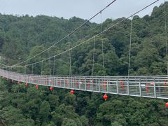 -九龙江国家森林公园