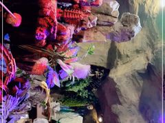 -醉小酒馆·川菜·江湖菜·重庆菜(观音桥旗舰店)