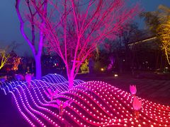 -茅山东方盐湖城景区