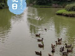 -西安浐灞国家湿地公园