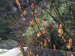 -宁波五龙潭景区