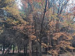 -长春市南湖公园