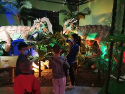 -恐龙探索乐园(磁器口店)