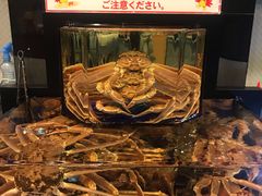-蟹道乐(道顿堀本店)