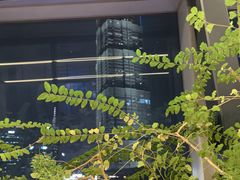 -柿合缘新京菜(国金中心商场店)