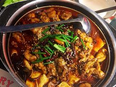 美蛙没鱼头-蛙小侠(珠海华发商都店)