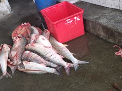-大通湖