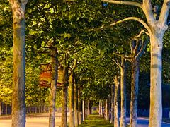 -南开大学滨海学院