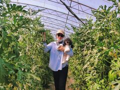 -庞各庄西瓜蔬菜采摘园·锦华瓜园