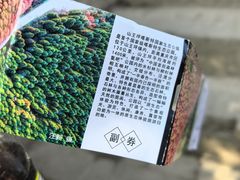 -山王坪喀斯特国家生态公园