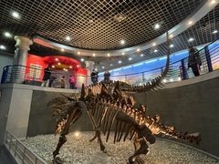 -国家自然博物馆