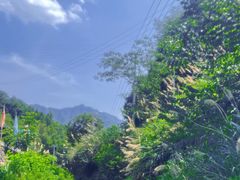 -千岛湖王子谷漂流