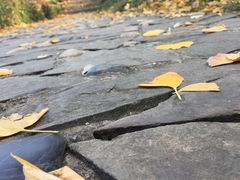 -白马涧龙池景区