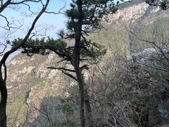 -庐山风景区花径公园