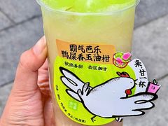 -奈雪的茶(凯德新都心店)