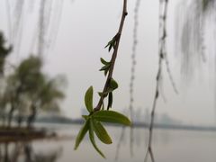 -渤公岛生态公园