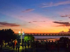 -宝安西湾红树林湿地公园