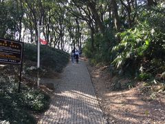 -苏州上方山国家森林公园