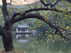 -紫霞湖公园