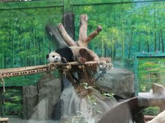 -灵玲国际马戏城