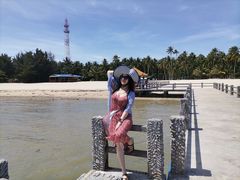 -东郊椰林