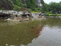 Club&nbsp;Med桂林-Club Med地中海俱乐部·桂林度假村