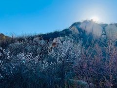-北京凤凰岭