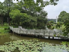 -东莞植物园