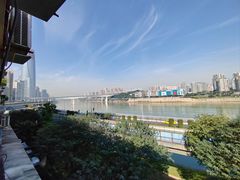 -李子坝梁山鸡(李子坝大鸡哥店)